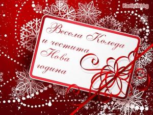 Весели Коледни и Новогодишни празници!